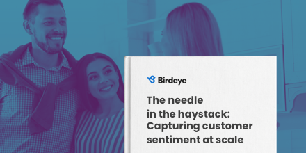 Needle in the haystack: Capturing customer sentiment at scale
